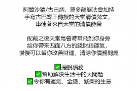 涉县为什么选择专业追讨公司来处理您的债务纠纷？